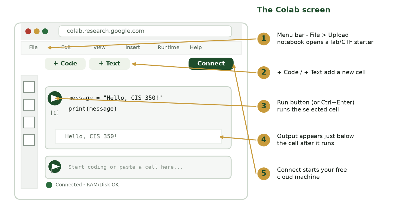 Annotated diagram of the Google Colab screen with a numbered key pointing to the menu bar, the plus-Code and plus-Text buttons, the Run button, the output area, and the Connect button