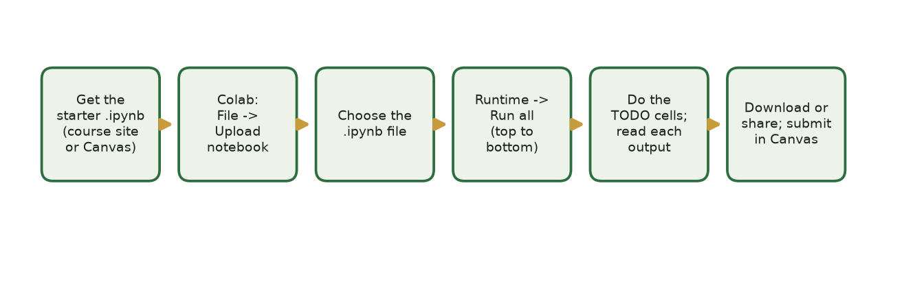 Six-step workflow diagram: get the starter .ipynb, then File to Upload notebook, then choose the file, then Runtime to Run all, then do the TODO cells and read each output, then download or share and submit in Canvas