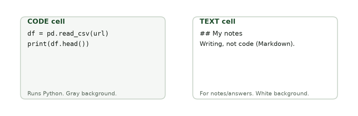 Side-by-side comparison of a code cell (gray, runs Python) and a text cell (white, holds notes written in Markdown)