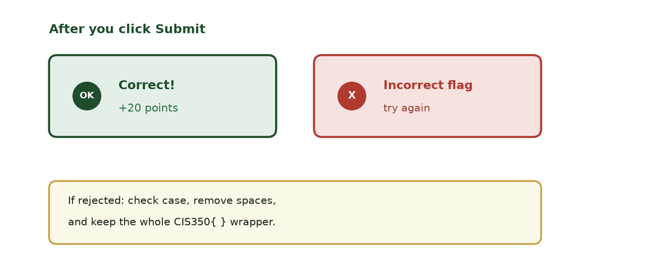 Two result panels side by side: a green Correct panel reading plus 20 points and a red Incorrect flag panel, with a note to check case, remove spaces, and keep the whole CIS350 wrapper