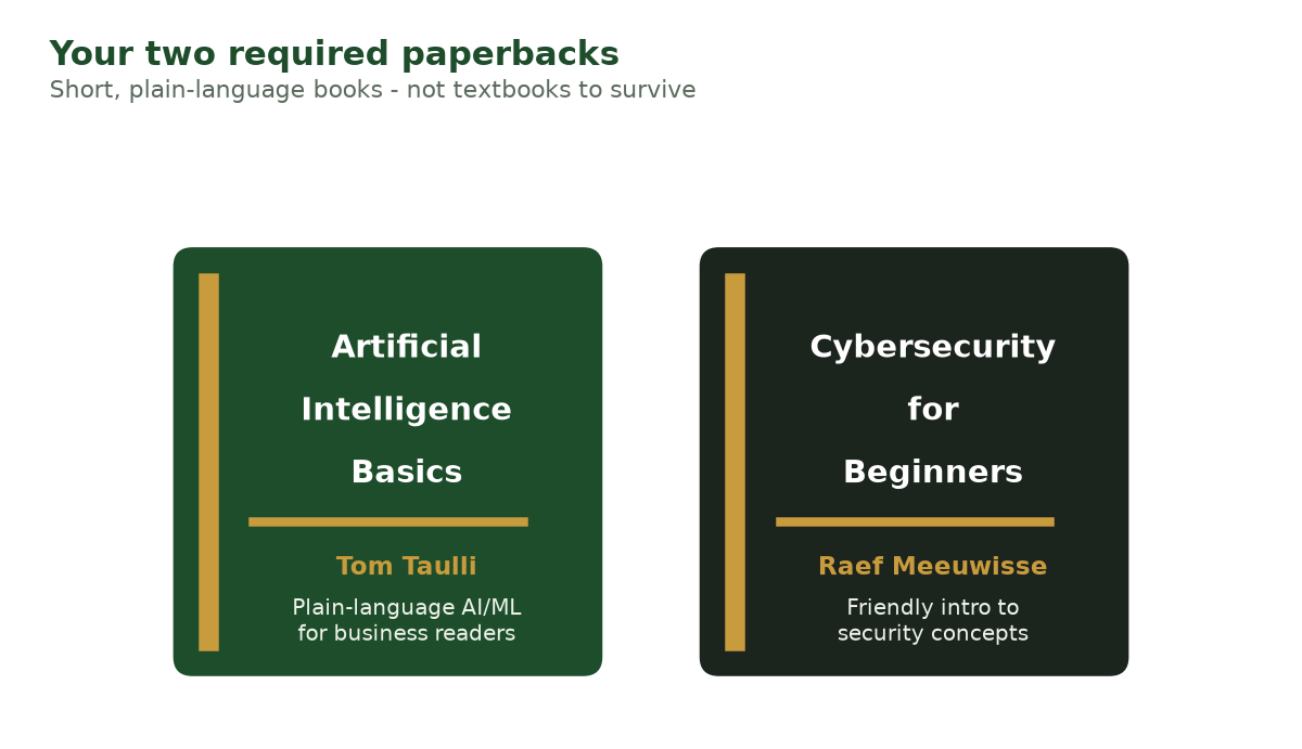 Two book-cover illustrations side by side: Tom Taulli's Artificial Intelligence Basics and Raef Meeuwisse's Cybersecurity for Beginners, each with a one-line description